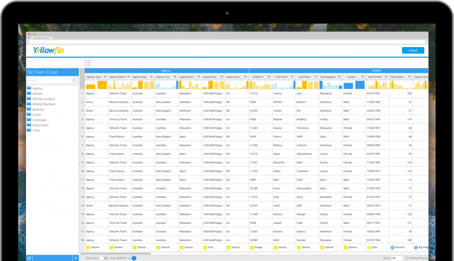 data_profiling