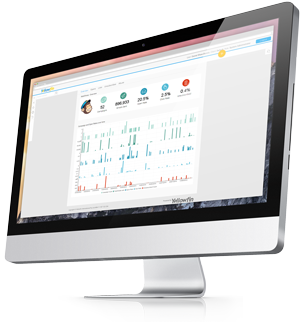 MailChimp Dashboard