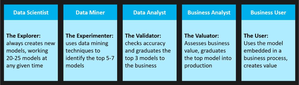 The data science team roles