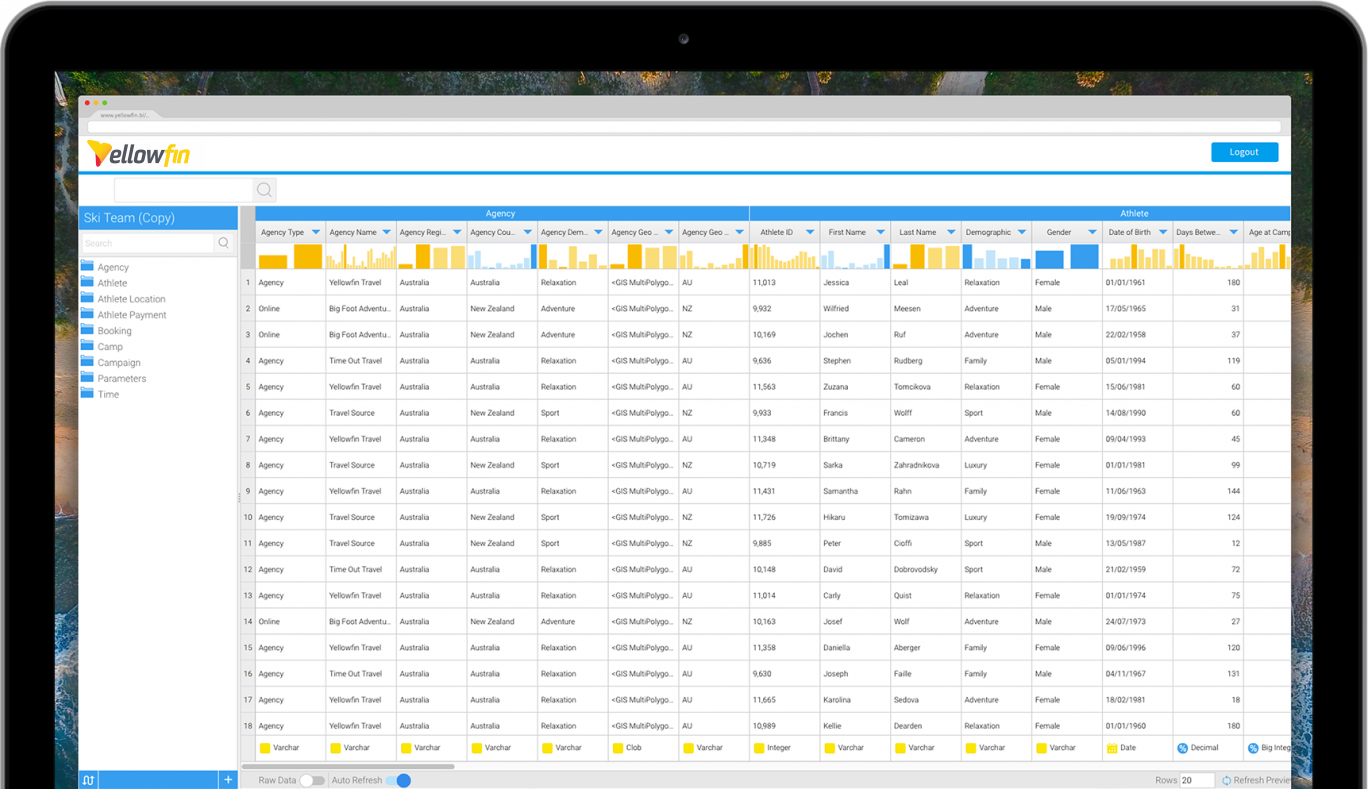 DATA_PROFILING-1368x789