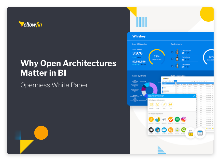 Why Open Architectures Matter in Embedded BI Whitepaper