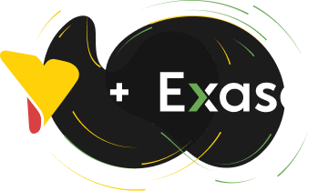 Exasol Exasol
